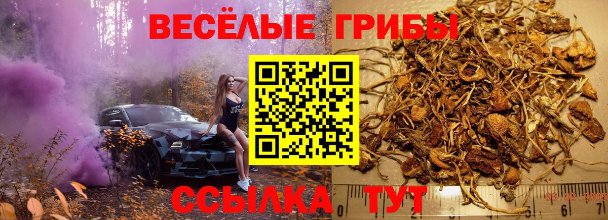 Псилоцибиновые грибы Magic Shrooms Чита